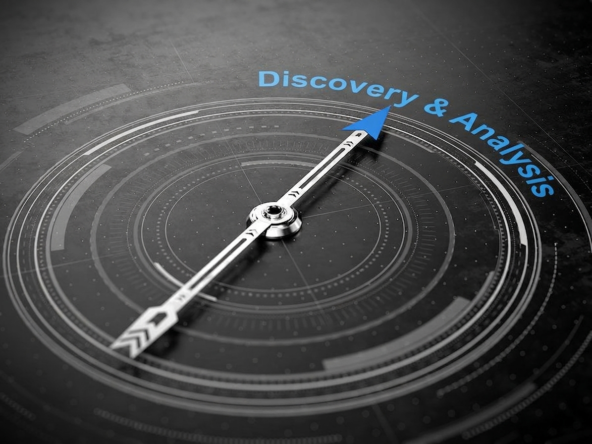 Discovery & Analysis process preview